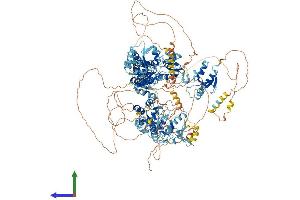AlphaFold protein structure predicition of Mouse Recombinant Topbp1 Protein, UniprotID Q6ZQF0 (TOPBP1 Protein (AA 1-1515) (His tag))