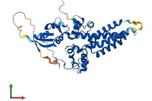 AlphaFold protein structure predicition of Mouse Recombinant Fa2h Protein, UniprotID Q5MPP0