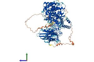Protein Structure (PS) image for Adaptor-Related Protein Complex 2, alpha 1 Subunit (AP2A1) (AA 1-977) protein (His tag) (ABIN7562913)