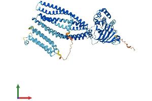 AlphaFold protein structure predicition of Mouse Recombinant Abcb9 Protein, UniprotID Q9JJ59