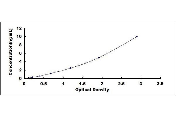 OLR1 ELISA Kit