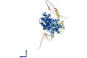 Protein Structure (PS) image for MutY Homolog (E. Coli) (MUTYH) (AA 1-515) protein (His tag) (ABIN7560447)