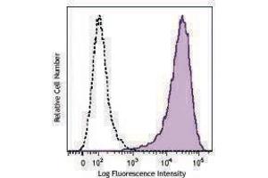 Flow Cytometry (FACS) image for anti-CD90 (THY1) antibody (PE-Cy7) (ABIN2659337) (CD90 antibody  (PE-Cy7))