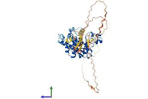 AlphaFold protein structure predicition of Mouse Recombinant Kmt5c Protein, UniprotID Q6Q783 (SUV420H2/KMT5C Protein (AA 1-468) (His tag))