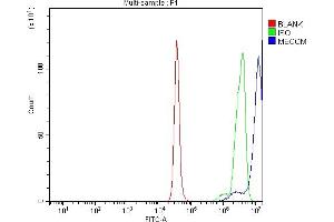 Flow Cytometry analysis of K562 cells using anti-EVI1/MECOM antibody (ABIN7599882).
