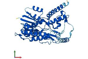 AlphaFold protein structure predicition of Human Recombinant HSD3B2 Protein, UniprotID P26439 (HSD3B2 Protein (AA 1-372) (His tag))