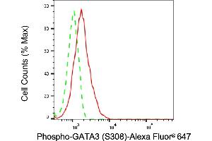 Flow cytometric analysis of Phospho-GATA3 (S308) expression in HT- cells using Phospho-GATA3 (S308) antibody (ABIN7798696), 1:2,000). (Recombinant GATA3 antibody  (pSer308))