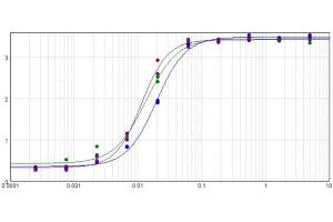 ELISA results of purified Goat F(ab')2 Anti-Rabbit IgG Antibody Biotin Conjugated Min X Bv Ch Gt GP Ham Hs Hu Ms Rt & Sh Serum Proteins tested against purified Rabbit IgG (Purple Line).