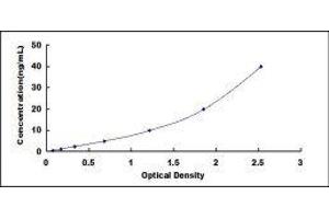 Glucose-6-Phosphate Dehydrogenase (G6PD) ELISA Kit