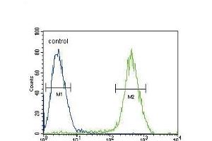 CB2 Antibody (C-term) (ABIN654631 and ABIN2844327) flow cytometric analysis of Jurkat cells (right histogram) compared to a negative control cell (left histogram).