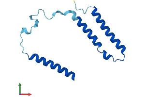 AlphaFold protein structure predicition of Human Recombinant MT-ND3 Protein, UniprotID P03897 (MT-ND3 Protein (AA 1-115) (His tag))