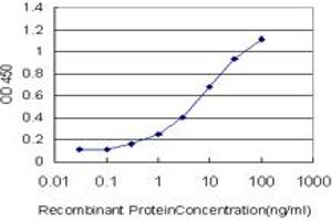Detection limit for recombinant GST tagged NRP2 is approximately 0. (NRP2 antibody  (AA 621-715))