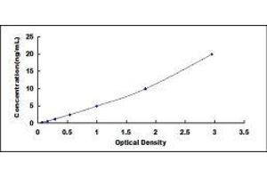 Typical standard curve (NOS2 ELISA Kit)