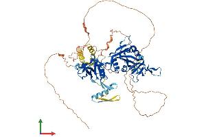 Protein Structure (PS) image for TCDD-Inducible Poly(ADP-Ribose) Polymerase (Tiparp) (AA 1-657) protein (His tag) (ABIN7554876)