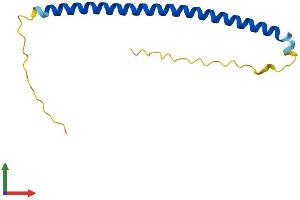 Protein Structure (PS) image for Basic Leucine Zipper ATF-like Transcription Factor (BATF) (AA 1-125) protein (His tag) (ABIN7562296)
