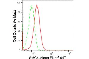 Flow cytometric analysis of SMC4 expression in HT- cells using SMC4 antibody (ABIN7800449), 1:2,000). (Recombinant SMC4 antibody)