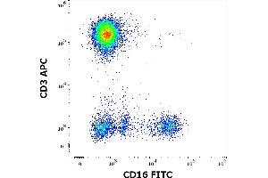 Flow cytometry multicolor surface staining pattern of human peripheral whole blood stained using anti-human CD16 (3G8) FITC antibody (4 μL reagent / 100 μL of peripheral whole blood) and anti-human CD3 (UCHT1) APC antibody (10 μL reagent / 100 μL of peripheral whole blood). (CD16 antibody  (FITC))