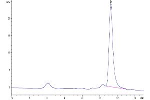 Size-exclusion chromatography-High Pressure Liquid Chromatography (SEC-HPLC) image for SARS-CoV-2 Spike (B.1.1.529 - Omicron), (RBD) protein (His tag) (ABIN7274388)