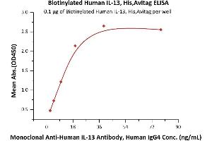 Immobilized Biotinylated Human IL-13, His,Avitag (ABIN6950979,ABIN6952280) at 1 μg/mL (100 μL/well) on Streptavidin  precoated (0. (IL-13 Protein (AA 21-132) (His tag,AVI tag,Biotin))