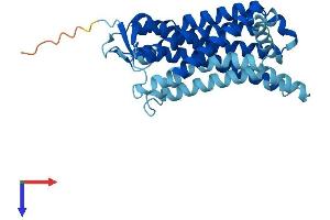 Olfactory Receptor, Family 56, Subfamily A, Member 5 (OR56A5) (AA 1-313) protein (His tag)