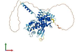 AlphaFold protein structure predicition of Mouse Recombinant Micu1 Protein, UniprotID Q8VCX5 (MICU1 Protein (AA 1-477) (His tag))