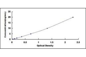 Typical standard curve (ABCC6 ELISA Kit)