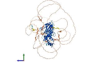 AlphaFold protein structure predicition of Human Recombinant PTPN22 Protein, UniprotID Q9Y2R2 (PTPN22 Protein (AA 1-807) (His tag))