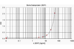 ELISA standard curve showing measurement of human BSP in a sandwich immunoassay using ABIN2753226 as capture antibody and ABIN2753226 as detection antibody. (CD BSP (Tumor BSP) (AA 108-122) antibody)