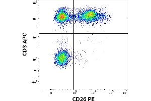 Flow cytometry multicolor surface staining of human lymphocytes stained using anti-human CD26 (BA5b) PE antibody (20 μL reagent / 100 μL of peripheral whole blood) and anti-human CD3 (UCHT1) APC antibody (10 μL reagent per milion cells in 100 μL of cell suspension). (DPP4 antibody  (PE))