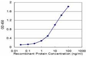 Detection limit for recombinant GST tagged ACTL6A is approximately 0. (BAF53A antibody  (AA 1-80))