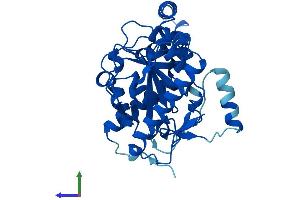 Protein Structure (PS) image for Monoacylglycerol O-Acyltransferase 2 (MOGAT2) (AA 1-334) protein (His tag) (ABIN7558386)