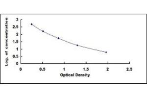 INHBA ELISA Kit