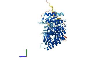 AlphaFold protein structure predicition of Human Recombinant PRAMEF6 Protein, UniprotID Q5VXH4 (PRAMEF6 Protein (AA 1-476) (His tag))