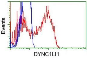 HEK293T cells transfected with either RC222010 overexpress plasmid (Red) or empty vector control plasmid (Blue) were immunostained by anti-DYNC1LI1 antibody (ABIN2452966), and then analyzed by flow cytometry. (DYNC1LI1 antibody)