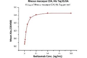 Immobilized Rhesus macaque CD4, His Tag (ABIN2180787,ABIN2180786) at 1 μg/mL (100 μL/well) can bind Ibalizumab with a linear range of 0. (CD4 Protein (CD4) (AA 26-390) (His tag))