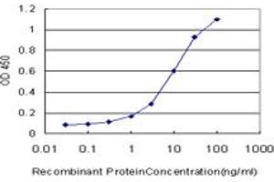 Detection limit for recombinant GST tagged NHP2L1 is approximately 0. (NHP2L1 antibody  (AA 1-100))