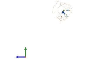 Protein Structure (PS) image for Taxilin beta (TXLNB) (AA 1-684) protein (His tag) (ABIN7544910)