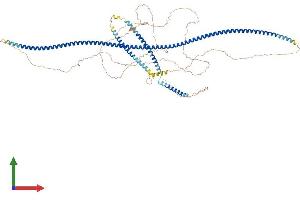 AlphaFold protein structure predicition of Mouse Recombinant Cage1 Protein, UniprotID Q5IR70 (CAGE1 Protein (AA 1-849) (His tag))