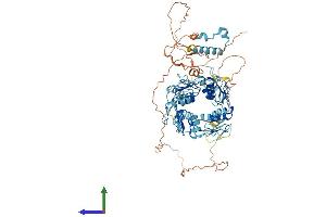 Protein Structure (PS) image for Zinc Finger Protein 132 (ZNF132) (AA 1-706) protein (His tag) (ABIN7545532)