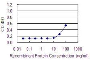 Detection limit for recombinant GST tagged ADCK1 is 10 ng/ml as a capture antibody. (ADCK1 antibody  (AA 1-100))