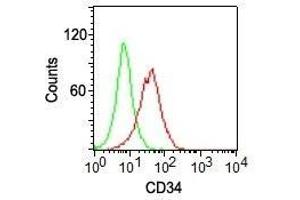 Flow cytometry of KG-1 cells using CD34 Monoclonal Antibody (ICO-115) (red) and isotype control Ab (green). (CD34 antibody  (PE))