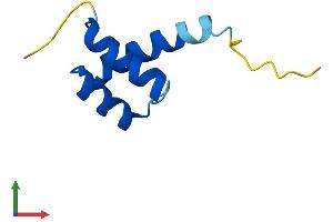 Protein Structure (PS) image for HOP Homeobox (HOPX) (AA 1-73) protein (Fc Tag) (ABIN7559669)