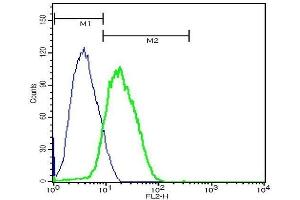 CD8 antibody  (AA 51-150)