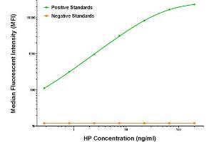 Luminex Assay (LMNX) image for anti-Haptoglobin (HP) antibody (ABIN2722429) (Haptoglobin antibody)