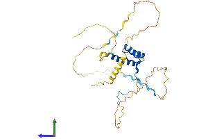 AlphaFold protein structure predicition of Mouse Recombinant Hoxd8 Protein, UniprotID P23463
