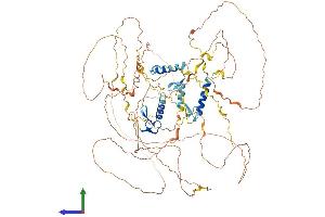 AlphaFold protein structure predicition of Mouse Recombinant Sobp Protein, UniprotID Q0P5V2 (SOBP Protein (AA 1-864) (His tag))