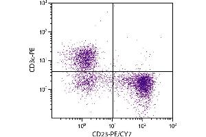 BALB/c mouse splenocytes were stained with Rat Anti-Mouse CD23-PE/CY7. (FCER2 antibody  (PE-Cy7))
