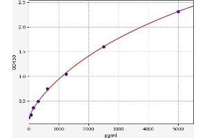 Typical standard curve (ABCC6 ELISA Kit)