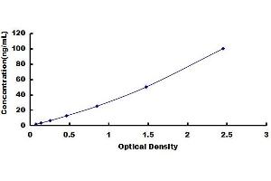 Vascular Cell Adhesion Molecule 1 (VCAM1) ELISA Kit