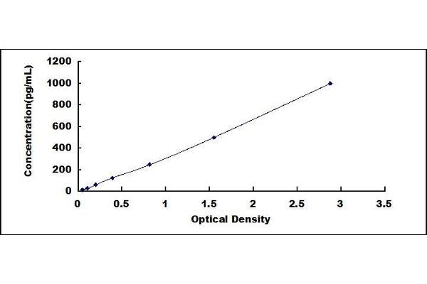 VEGF121 ELISA Kit